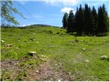 Podkorita - Ribčeva planina